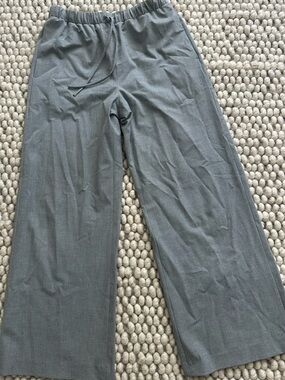 Aritzia Wide Leg Drawstring Trousers in Gray
